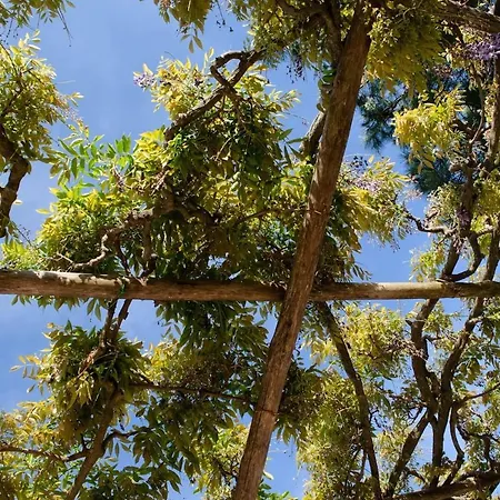 La Piccinina Villa *